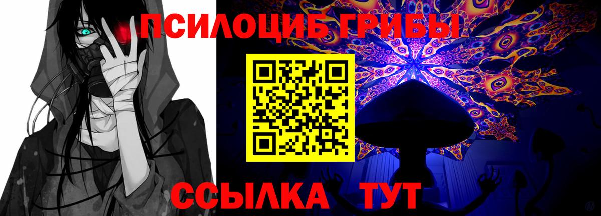 Галлюциногенные грибы GOLDEN TEACHER Приморско-Ахтарск